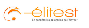 Elitest