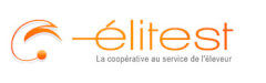 Elitest